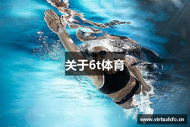 关于6t体育